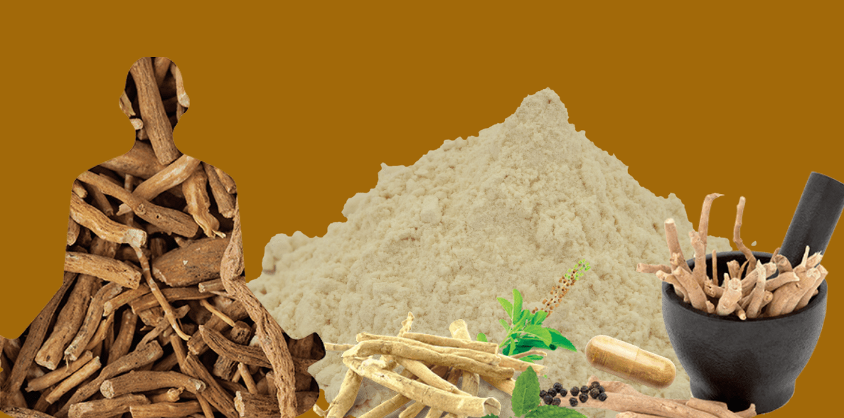 latest clinical studies on Ashwagandha