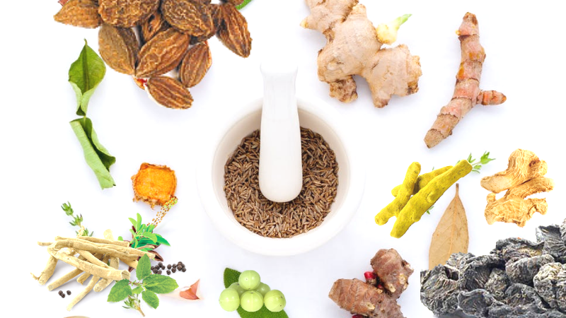 Raw Herbs Suppliers