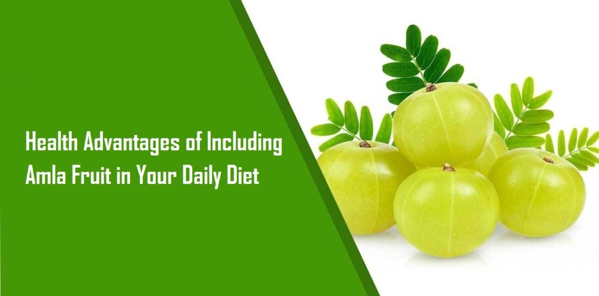 Health Advantages of Including Amla Fruit in Your Daily Diet