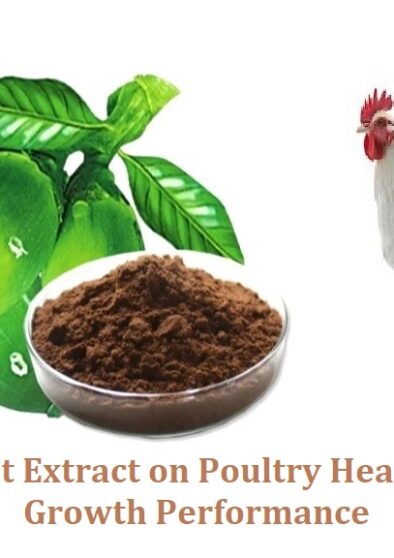 ARECA NUT EXTRACT_POULTRY HEALTH